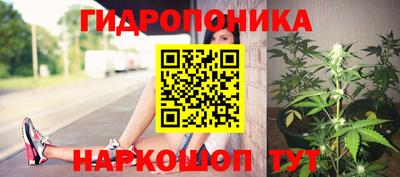 молекула духа Краснокаменск