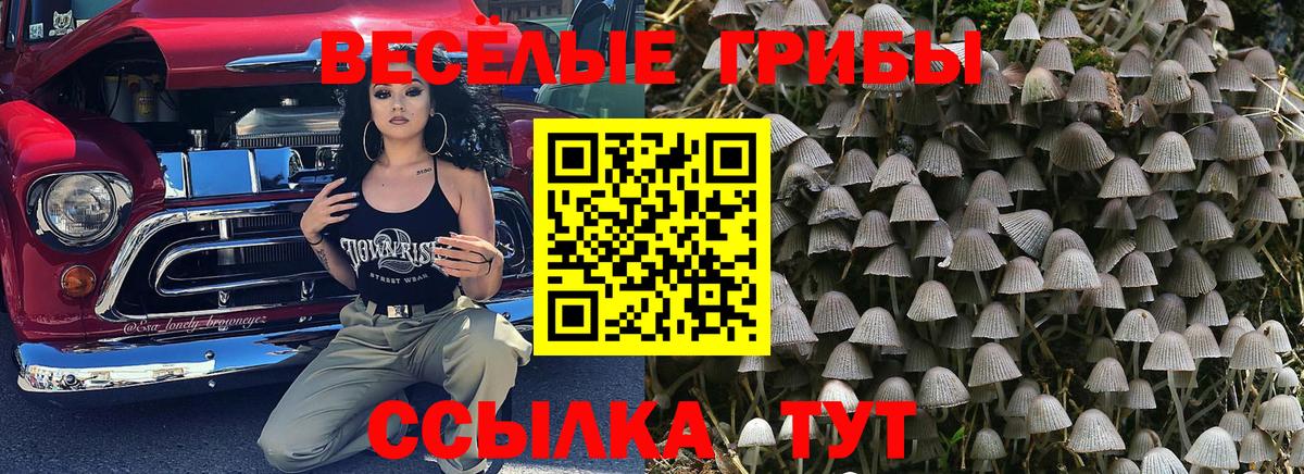 Псилоцибиновые грибы мицелий  Псилоцибиновые грибы мухоморы  Вход с VPN  Егорьевск 